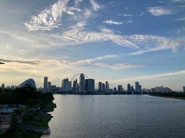 Singapore skyline, merlion, Singapore flyer, Singapore botanic gardens