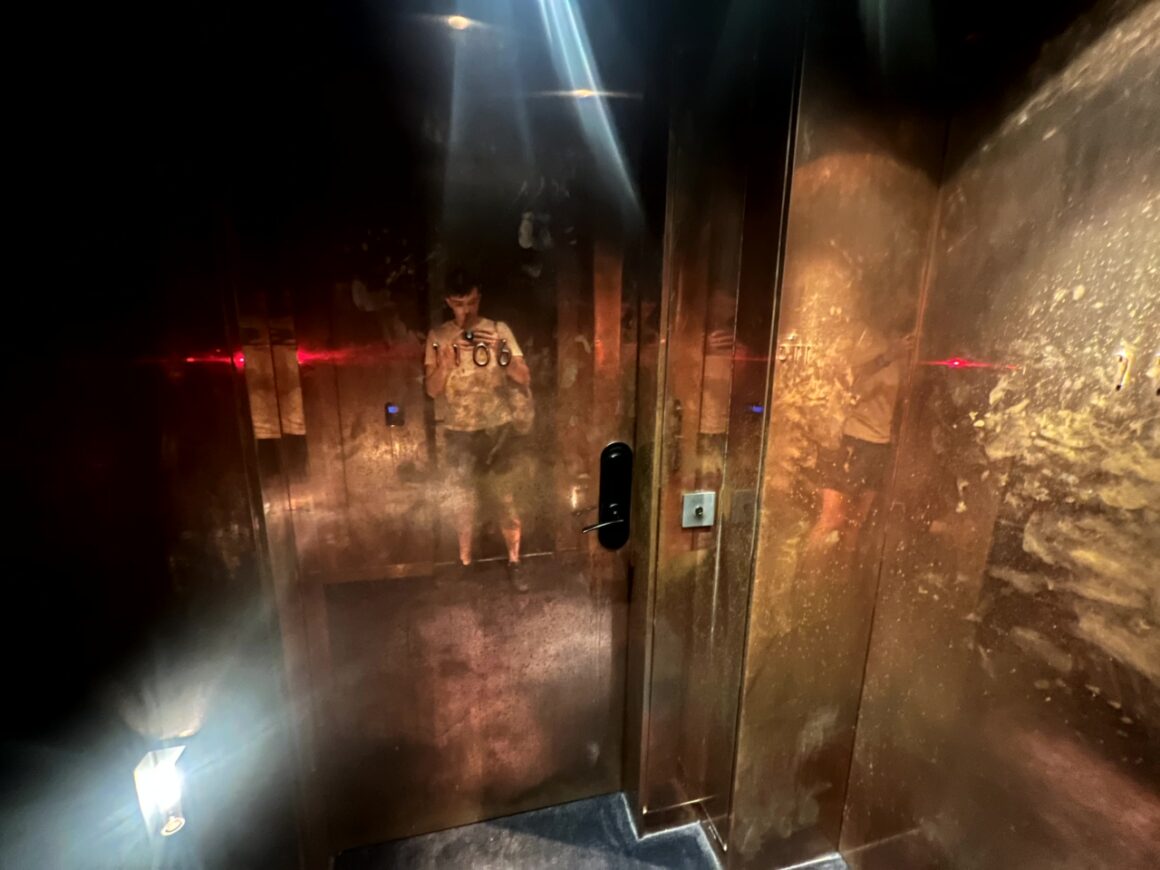 Hotel Proverbs Elevator Selfie