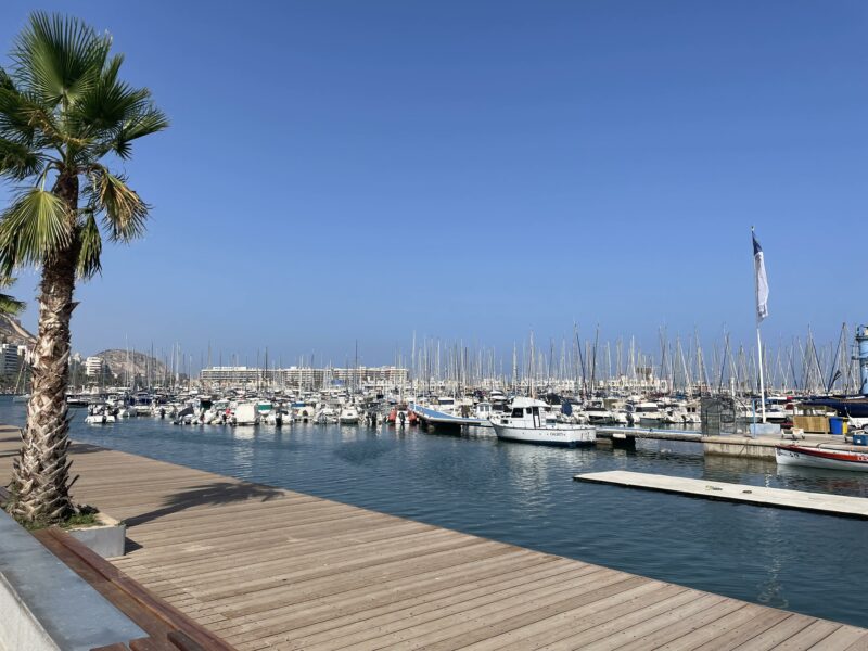 the marina, alicente