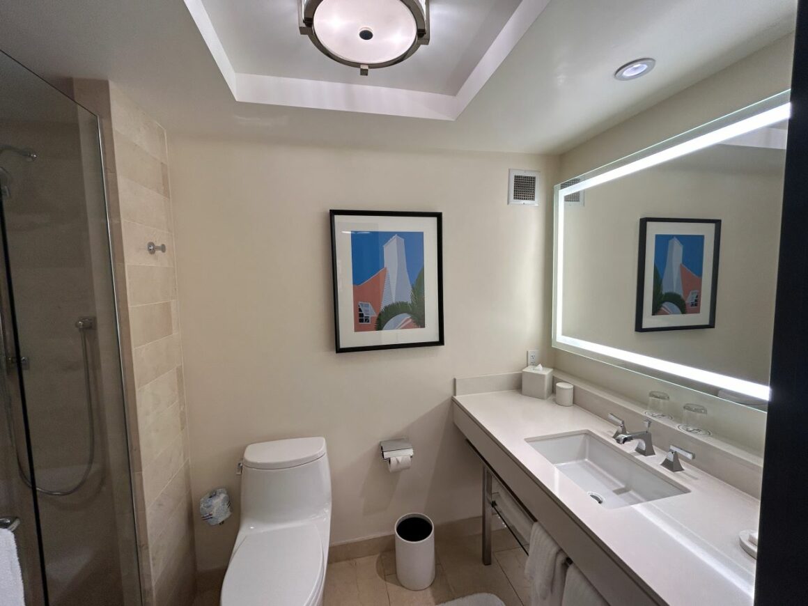 Hamilton Princess Bermuda Bathroom