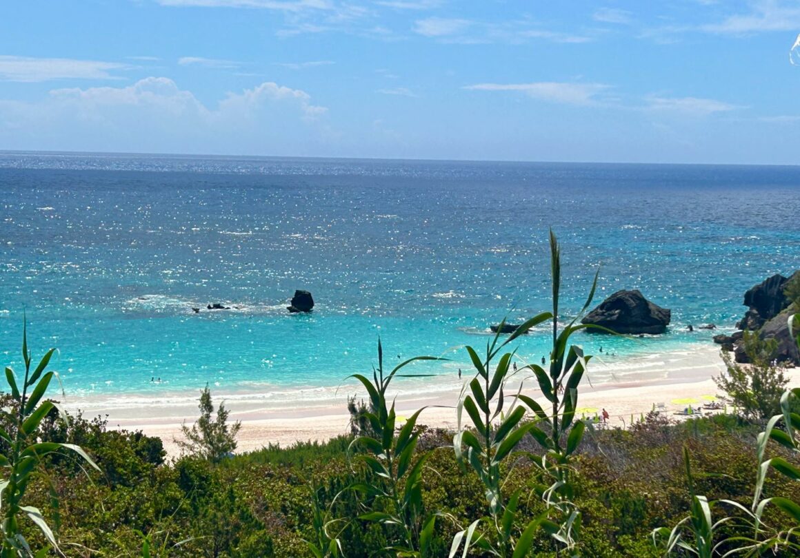 The pink sand of Horseshoe Bay Bermuda